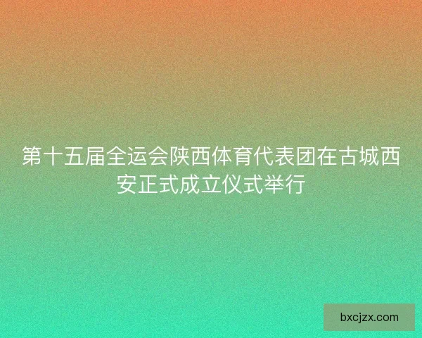 第十五届全运会陕西体育代表团在古城西安正式成立仪式举行